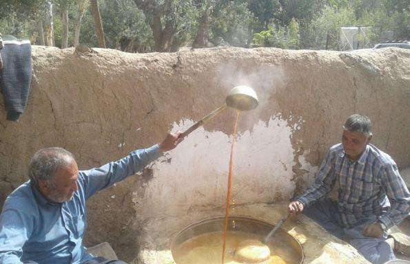 سایت توزیع شبره ارگانیک در کشور