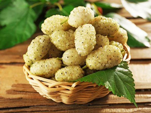 لیست ارزان ترین قیمت شیره خانگی در اصفهان